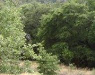 IMG 0049